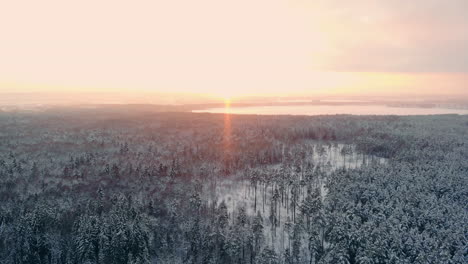 Imágenes-Aéreas-De-Volar-Entre-Hermosos-árboles-Nevados-En-Medio-Del-Desierto-En-Laponia-Finlandia.
